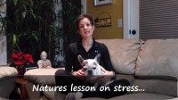 importance of stress relief
