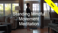 Mindful movement meditation - standing