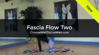 Fascia Flow 2